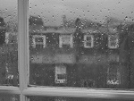 Fotoblog keshinomi