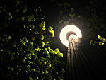 Fotoblog czarnaper