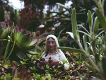 Fotoblog dominikowicze