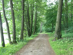 Fotoblog anifotoblog