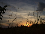 Fotoblog thesame1