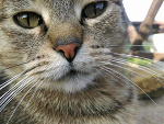Fotoblog stopforamoment