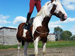 Fotoblog araciacho4