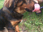 Fotoblog xperfectxx