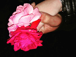 Fotoblog onlyhpforever