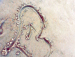 Fotoblog misiuu69