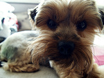 Fotoblog effxo