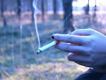 Fotoblog brakxendorfiny
