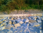 Fotoblog reydellanaa