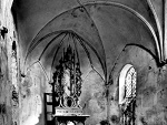 Fotoblog invinoveritas