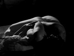 Fotoblog nobodyprincess