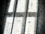 Fotoblog interfector