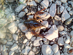 Fotoblog jestemobokciebie290