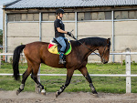 Fotoblog beekow