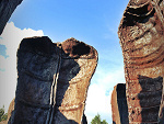 Park Cytadela