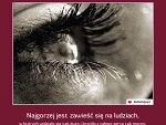 Fotoblog surykatka94