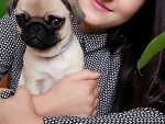 Fotoblog niejestemzcukrux3