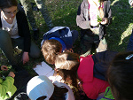 Fotoblog lesne96elfy