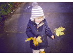 autumn leaves