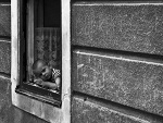 Fotoblog mszfoto