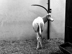 Fotoblog brunetkamarta