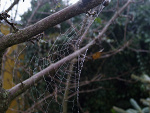 Fotoblog xdzvlix