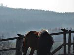 Fotoblog fyre