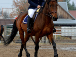 Fotoblog koniara9912