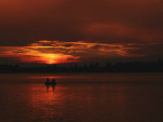 Fotoblog lisclaurowy