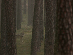 Fotoblog malowaneswiatlem