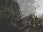 Fotoblog lukasjakubikphotographer