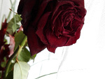Fotoblog klasiaaa