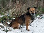 Fotoblog kamila2v16