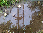 Fotoblog niebieskieautostrady69