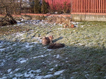 Fotoblog amber910211