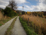 Fotoblog mysecretlifephotography