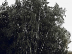 Fotoblog northerly