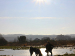 Fotoblog nefryt019