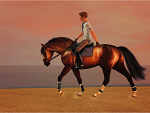 Fotoblog greenwoodstables
