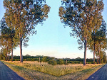 Fotoblog yoursxhope