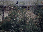 Fotoblog nature19