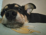 Fotoblog xdinmydreams
