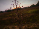 Fotoblog unicorngirl