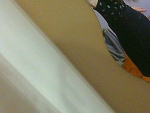 Fotoblog deeelicate
