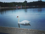Fotoblog herhighnessjuliet