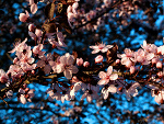 Fotoblog deionarraphotography