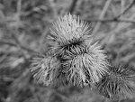 Fotoblog kasiaty123