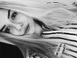 Wpis domicems
