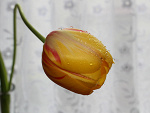 Fotoblog sylwusk23