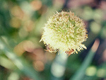 Fotoblog taliaarock